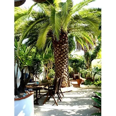 Aloe - Oasis * Cabanas De Tavira